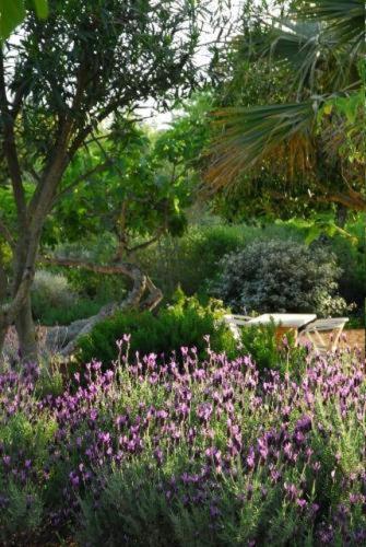 Quinta Da Lua Bed & Breakfast Tavira Ngoại thất bức ảnh
